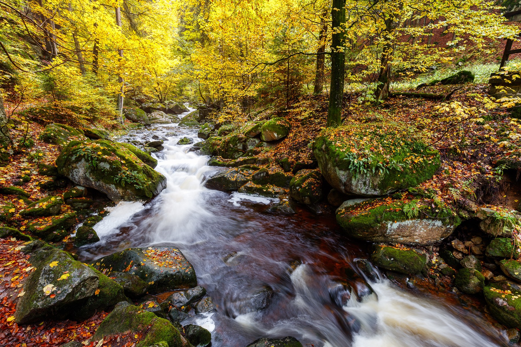 Fotoreise Harz Freiraum Fotografie